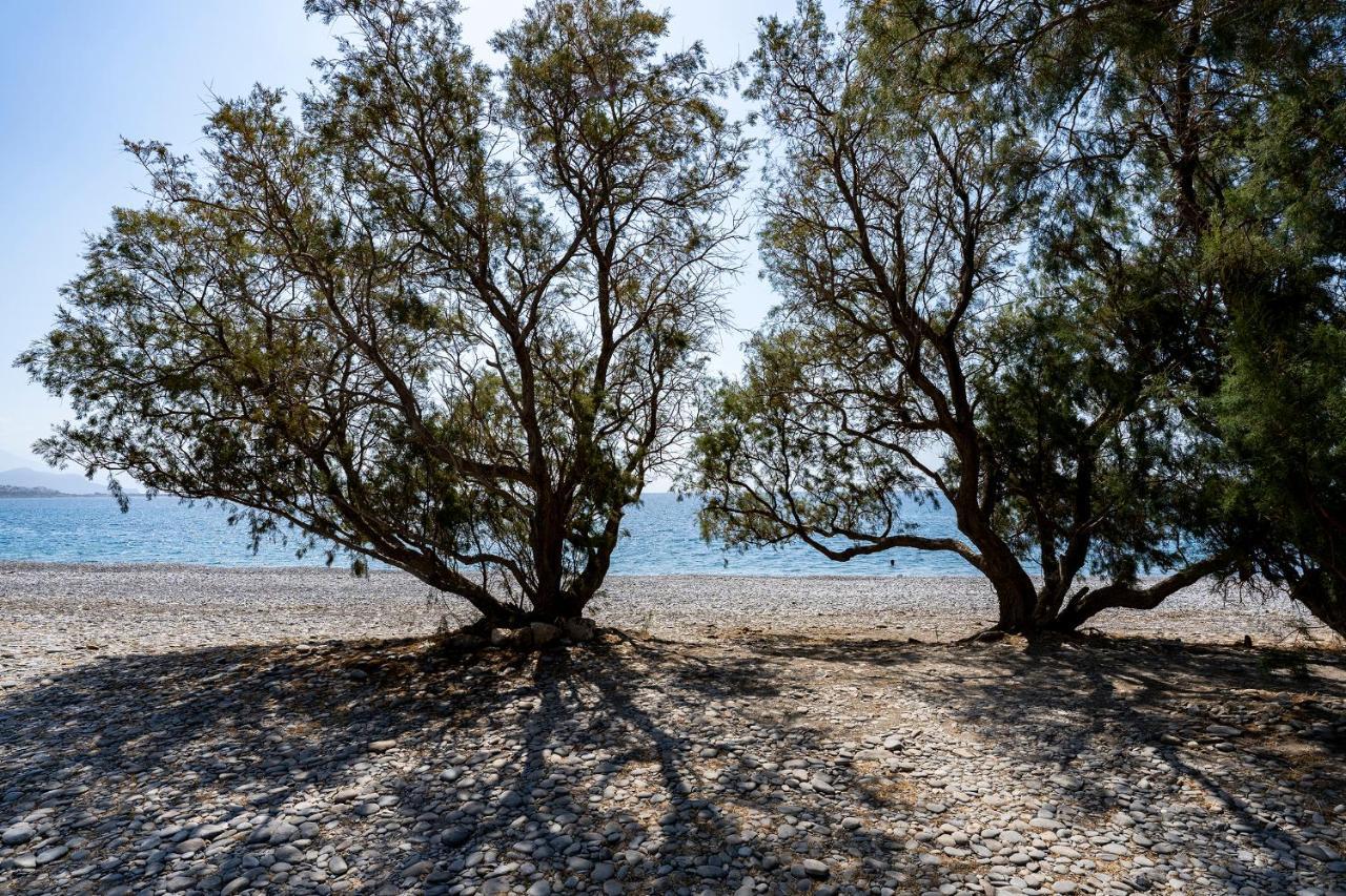 Akra Grammeno Beachfront Villas Paleochora Exterior foto